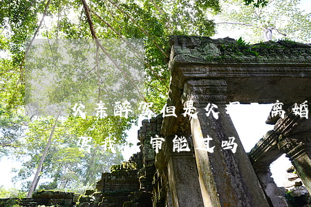 父亲醉驾但是父母已离婚我政审过了(父亲醉驾我政审能过吗)