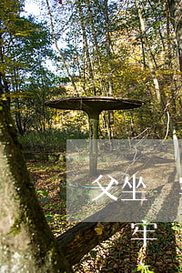 父坐過牢離婚對政審有影響嗎(妻子的父親坐過牢,對公務(wù)員政審有影響嗎)