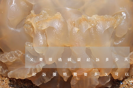 父妻感情破裂起訴多少天可以離婚(感情破裂起訴離婚需要多久可以離婚)
