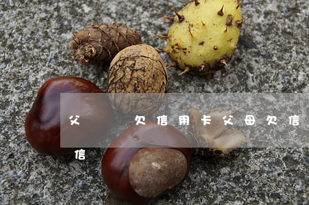 父媽媽欠信用卡(父母欠信用卡會影響子女征信嗎)