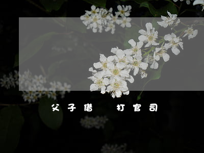 父子借錢打官司