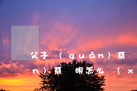 父子關(guān)系證明(父子關(guān)系證明怎么寫(xiě)樣板)