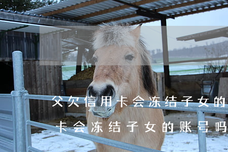 父欠信用卡会冻结子女的账号吗-父欠信用卡会冻结子女的账号吗安全吗