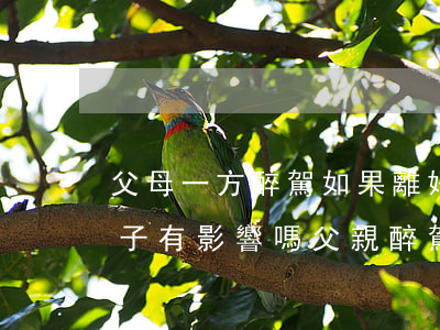 父母一方醉駕如果離婚還會(huì)對孩子有影響嗎(父親醉駕后父母離婚對孩子有影響嗎)