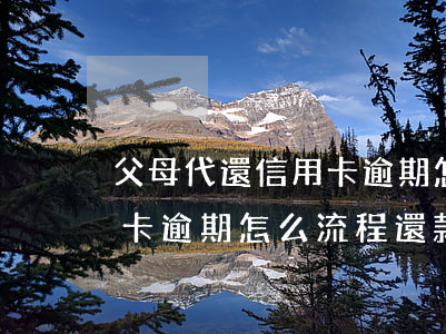 父母代還信用卡逾期怎么流程 父母代還信用卡逾期怎么流程還款