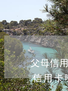 父母信用卡不還影響幾代人(可以使用父母的信用卡嗎)