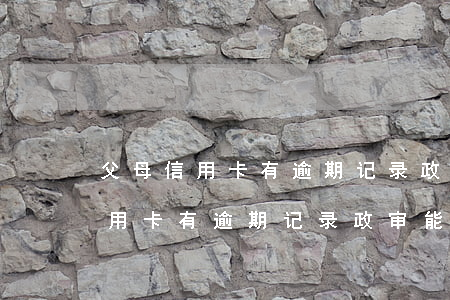 父母信用卡有逾期记录政审能过吗-父母信用卡有逾期记录政审能过吗知乎