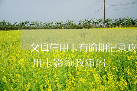 父母信用卡有逾期记录政审能过吗 父母欠信用卡影响政审吗
