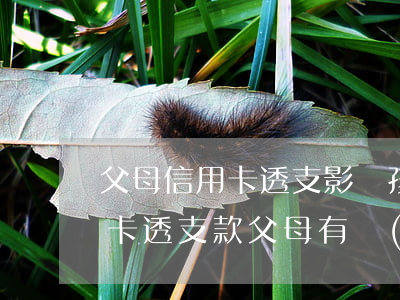 父母信用卡透支影響孩子嗎(子女欠銀行信用卡透支款父母有責(zé)任還嗎)
