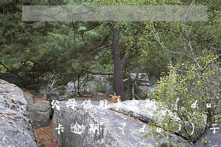 父母信用卡逾期對(duì)子女(父母信用卡逾期對(duì)子女政審有影響嗎)