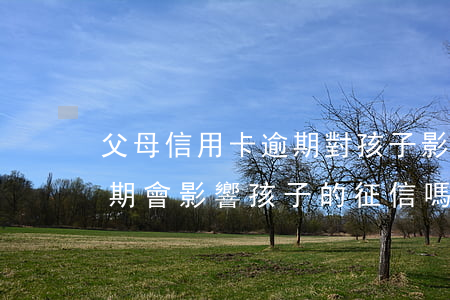 父母信用卡逾期對孩子影響(父母欠信用卡逾期會影響孩子的征信嗎)