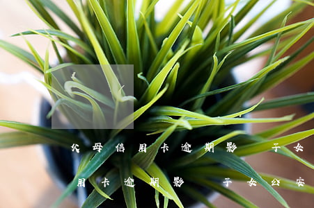 父母信用卡逾期影響子女公安政審-父母信用卡逾期影響子女公安政審嗎