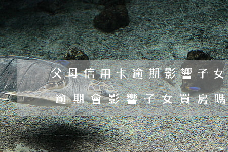 父母信用卡逾期影響子女房貸(母親有信用卡逾期會影響子女買房嗎)