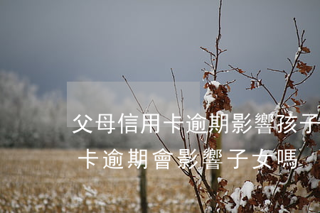 父母信用卡逾期影響孩子嗎(父母離婚了信用卡逾期會影響子女嗎)
