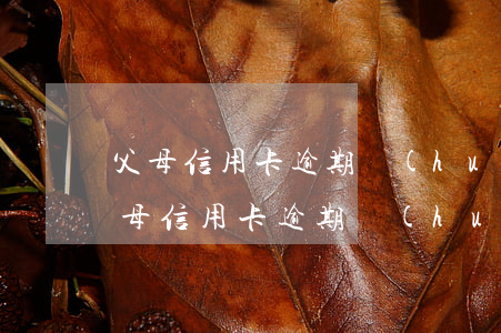 父母信用卡逾期會(huì)影響兒女嗎 父母信用卡逾期會(huì)影響兒女嗎