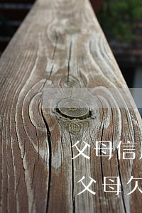 父母信用卡逾期會(huì)影響子女用卡(父母欠信用卡,會(huì)不會(huì)影響子女)