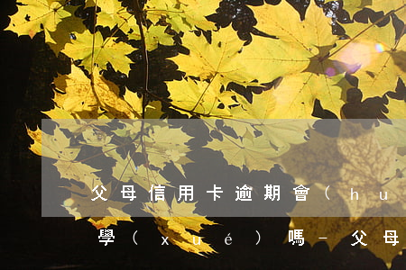 父母信用卡逾期會(huì)影響子女考大學(xué)嗎-父母的信用卡逾期會(huì)不會(huì)影響子女上學(xué)