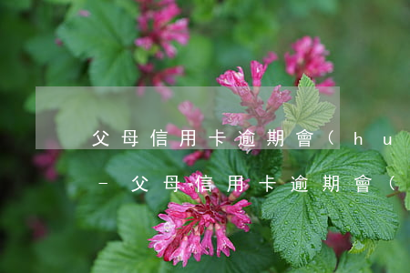 父母信用卡逾期會(huì)影響政審嗎6-父母信用卡逾期會(huì)影響政審嗎60歲