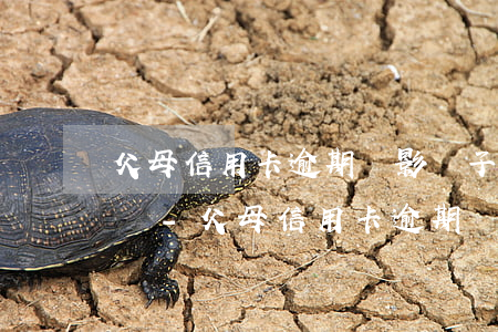 父母信用卡逾期會影響子女上學(xué)嗎-父母信用卡逾期會影響子女上學(xué)嗎知乎