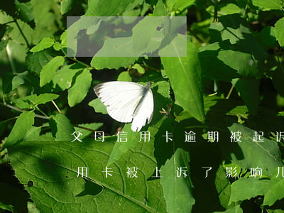 父母信用卡逾期被起诉影响政审吗(爸爸的信用卡被上诉了,影响儿女的征信吗)