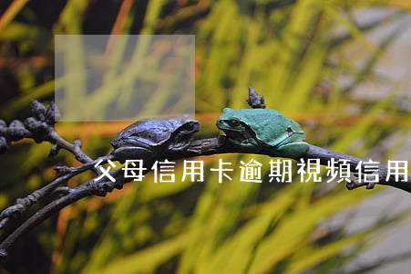 父母信用卡逾期視頻 信用卡 逾期案例