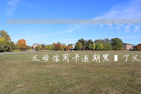 父母信用卡逾期黑戶了(父母欠信用卡)