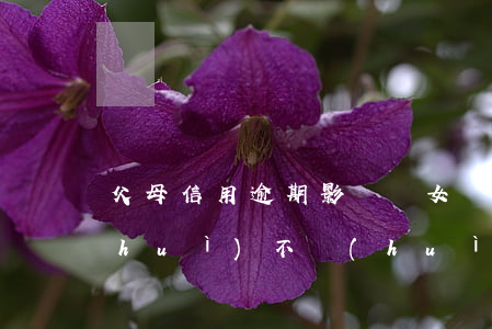 父母信用逾期影響兒女嗎(父母信貸逾期會(huì)不會(huì)影響子女)