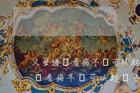 父母借錢看病不還可以起訴子女嗎-父母借錢看病不還可以起訴子女嗎知乎