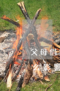 父母借錢被起訴(父母借錢被起訴對兒女有什么影響)
