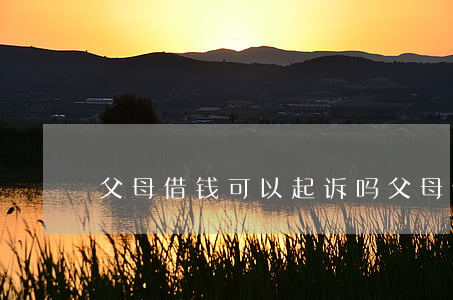 父母借钱可以起诉吗(父母借钱子女要还吗)
