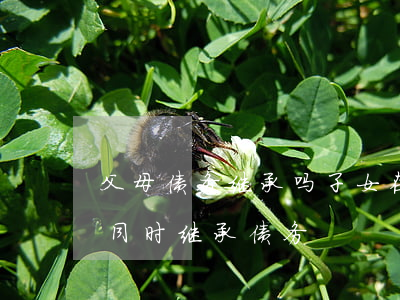 父母债务继承吗(子女在继承父母遗产时是否同时继承债务)