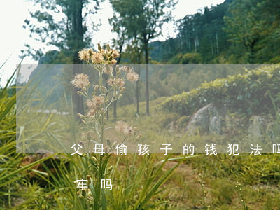 父母偷孩子的钱犯法吗(孩子偷父母的钱会坐牢吗)