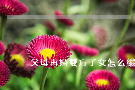 父母再婚雙方子女怎么繼承
