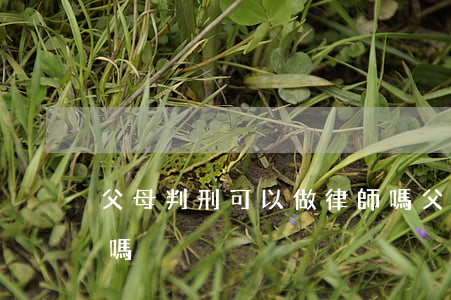 父母判刑可以做律師嗎(父親服過刑能考律師嗎)