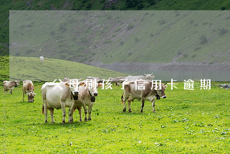 父母刷孩子信用卡逾期