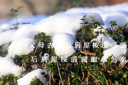 父母去世后房屋按遺囑繼承怎么辦(父母去世后房屋按遺囑繼承怎么辦)