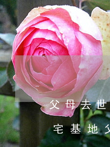 父母去世宅基地能繼承嗎(農(nóng)村宅基地父母去世了兒女能繼承嗎?)