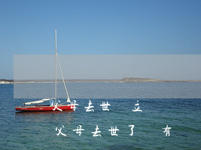 父母去世沒立遺囑遺產(chǎn)怎么分(父母去世了,沒有遺囑,財產(chǎn)怎么分配)