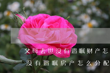 父母去世没有遗嘱财产怎么继承(父母去世了没有遗嘱房产怎么分配儿媳妇有继承权吗)