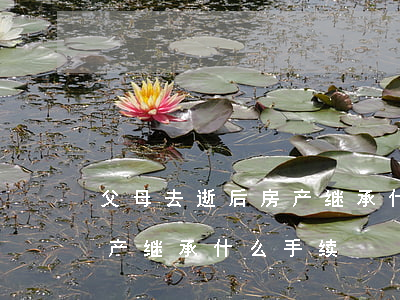 父母去逝后房产继承什么手续(父母去逝后房产继承什么手续)