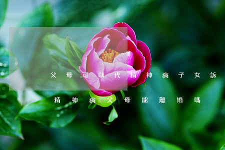 父母可以代精神病子女訴訟離婚嗎(兒子得了精神病父母能離婚嗎)