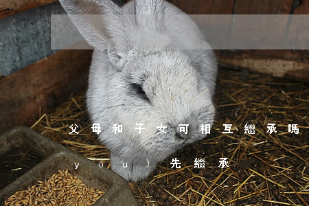 父母和子女可相互繼承嗎(父母與配偶誰優(yōu)先繼承)