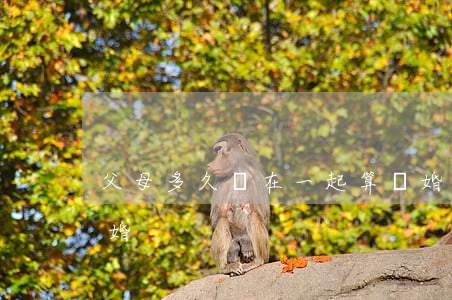 父母多久沒在一起算離婚(父母長期分居不離婚)
