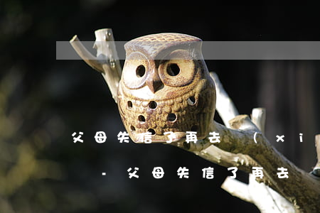父母失信了再去協(xié)商還款還可以嗎-父母失信了再去協(xié)商還款還可以嗎知乎