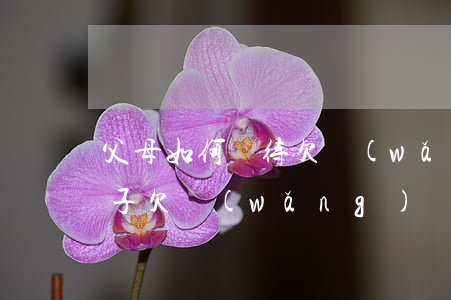 父母如何對待欠網(wǎng)貸的孩子(兒子欠網(wǎng)貸父母用承擔(dān)嗎)