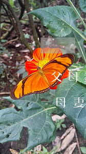 父母妻子子女如何分配遺產(chǎn)，父母妻子子女如何分配遺產(chǎn)比例