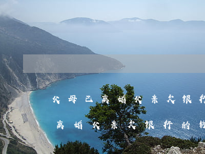 父母已离婚父亲欠银行的钱怎么办-父母已离婚父亲欠银行的钱怎么办理