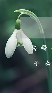 父母已過(guò)世欠網(wǎng)貸子女要還嗎(父母欠的網(wǎng)貸無(wú)力償還 子女需要還嗎)
