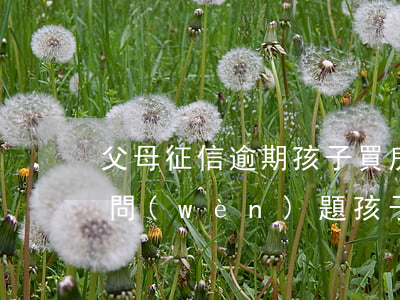 父母征信逾期孩子買房有影響嗎(父母征信有問(wèn)題孩子買房貸有影響嗎)