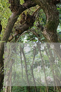父母征信逾期對(duì)小孩還會(huì)什么影響-父母征信逾期對(duì)小孩還會(huì)什么影響嗎